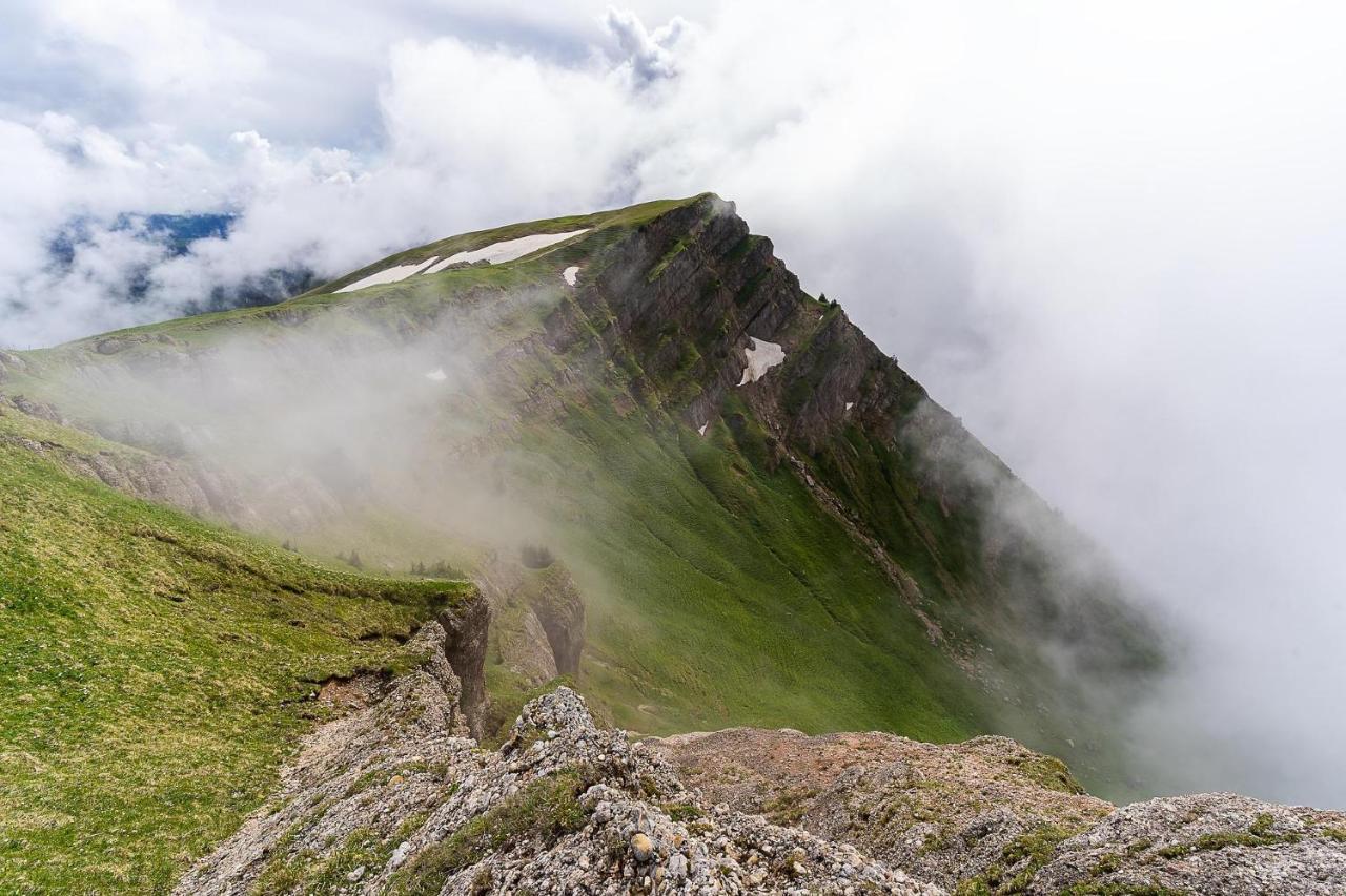 Grünes Allgäu Opfenbach Exterior foto